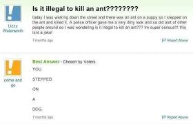 21 Yahoo Answers That Are Too Clever For Their Own Good Tumblr Funny Yahoo Answers Funny Pictures