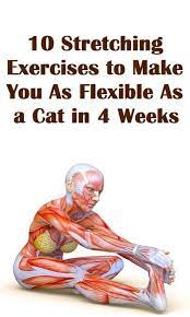 If your wrists are flexible enough you can turn your hands around toward your body to help try and target them, but i would get a couple of gallon milk jugs and fill them with water and curl them. Pin By Anja Bocker On Health Fitness Stretching Exercises Exercise Health Fitness