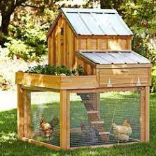 i really need this in my garden want so bad hintergarten chicken coop designs huhner im garten