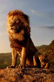 Zhivotnye Lion King Pictures Disney Lion King Lion King Movie