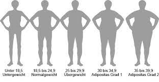 Was Sagt Der Body Mass Index Uber Die Gesundheit Aus