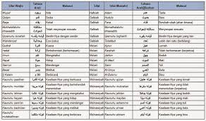 Untuk itu baca sampai selesai semoga mendapatkan pengetahuan baru. 20 Sifat Wajib Allah 20 Sifat Mustahil Allah Sifat Jaiz Allah Belajar Islam