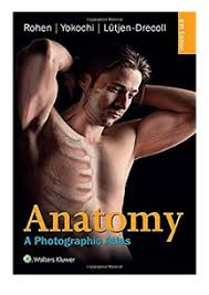 The anatomy coloring book 4th edition pdf. Pdf Human Anatomy Coloring Book An Entertaining And Instructive Guide To The Human Body Bones Muscles Blood Nerves And How They Work Coloring Books Dover Children S Science Books
