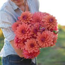 However, few know that the moringa flower, too, is packed full of flavours and is perfect for cooking! The Most Popular Flowers Used In Bouquets In India 2021
