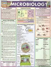 download free book series barcharts quickstudy microbiology