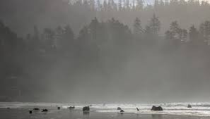 Mandi Bishop (@mandi_bishop_photography) • Instagram photos and videos