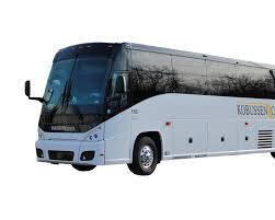 Image result for Bussea