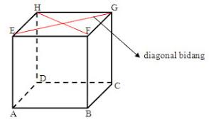 Bangun Ruang Kubus Belajar Matematika