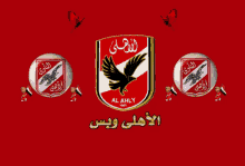 الفيلم الوثائقي الرسمي للنادي الأهلي سر التاسعة. Ahly Alahly Gif Ahly Alahly Magicano Discover Share Gifs