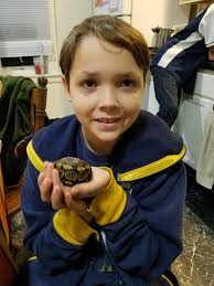 Isopod picture contest winner announced