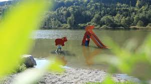 Unser ganzjährig geöffneter campingplatz ist der ideale ausgangspunkt für ausflüge in die umgebung. Campingplatz Demmelhof Camping Info