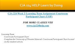 Cja 224 Entire Course Uop For More Classes Visi Cja 224