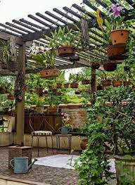 We are a friendly online community for orchid growers all over the world. 65 Orchid Protection Ideas Orchid House Shade House Orchids