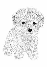 Description:kleurplaat hond en moeilijk from the above resolutions which is part of thekleurplaat hond puppies moeilijk. Kleurplaat Hond 80 Gratis Simpele En Moeilijke Honden Kleurplaten