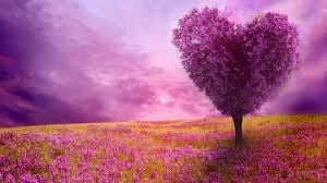 Free download hd & 4k quality.find your next desktop wallpaper that inspires and excites. Spring Desktop Wallpaper Hd Free Pixelstalk Net