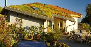 We are currently in beta version and updating this search on a regular basis. Uber Die Begrunung Geneigter Dacher Grasdach Grundach Zur Steildachbegrunung Mit Schragdachbegrunung