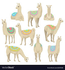 Graceful White Llama Set Alpaca Animal In Ornamented Poncho Posing In Different Situations Vector Illustrations Isolated O Alpaca Stuffed Animal Llama Animals