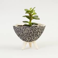 Black And White Plant Pot Black And White Pottery Planter Textured Ceramics Ceramic Plant Pot Modern Planter Ceramic Planter White Ceramic Planter Handmade Ceramics Stoneware Ceramics