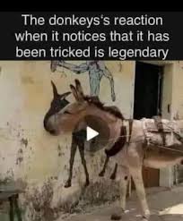 Profile for Scottie Mintz