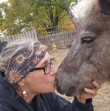 Vigo County Sheriff's...