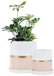 Check out the most adorable planter pots amazon has available to spruce up your living space. Amazon Com Fieren White Ceramic Flower Pot Garden Planters 6 4 Large Plant Indoor Pot Containers With White Ceramic Flower Pots White Planters Flower Pots