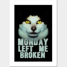 Monday Left Me Broken Cat