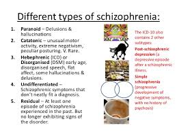 Image result for Schizozygia