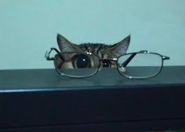 images?q=tbn:ANd9GcTNXwm28qgu1CgYJy0rKKc