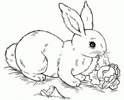 To ensure the colors are distinct i avoid using a random generator and select evenly spaced colors from the rainbow. Random Coloring Pages Everfreecoloring Com
