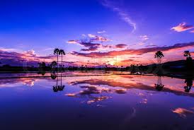 Download 60,000+ royalty free sunset background vector images. Beautiful Sunset Background Stock Images Page Everypixel