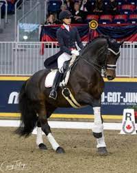 The pony club is an international voluntary youth organisation for young people interested in ponies and riding. Pan Am Team Mates Go Head To Head In Battle Of The Disciplines At 2019 Royal Horse Show Toronto