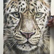 Final Touches To Finish This Leopard Drawing Today Hope You Guys Like Him Now To Find A Name Have A Great Weekend Big Cats Art Wildlife Art Animal Art