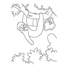 Sloth head decorative cute sloch outline vector illustration. Top 10 Sloth Coloring Pages For Your Toddler