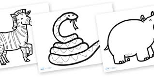 Maybe you would like to learn more about one of these? Safari Colouring Sheets Teacher Made