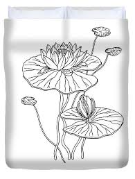 Over 7,699 water lily pictures to choose from, with no signup needed. Water Lily Flower Botanical Drawing Duvet Cover For Sale By Irina Sztukowski