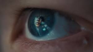 Euforia streaming e scaricare in alta definizione. Euphoria Season 2 Guide To Release Date Cast News And Spoilers