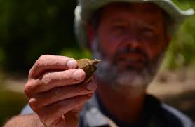 Paddle Georgia 2022: Chattahoochee Journey Starts Generational Love Affair  With Rivers
