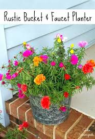 Ketiga jenis tersebut adalah bunga flat, bunga efektif, dan bunga anuitas. 53 Ide Bunga Krokot Bunga Tanaman Taman Botol