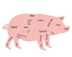 Vector Pork Chart Stock Vector Illustration Of Butchery