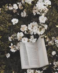 Books Books Books Bookstagram Inspiration Book Aesthetic Book Photography