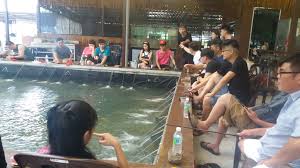 Prawn valley farm fishing price : Prawn Valley Farm Syurga Udang Galah Malaysia Umpan