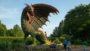 We did not find results for: Alice S Wonderland In Full Bloom