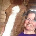 Hillcroft Crescent Farm