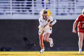 Image result for Erica evansii