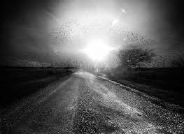 Browse the user profile and get inspired. Home By Nightfall Angela Bacon Kidwell