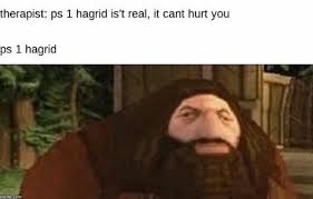 You guys know that we love the harry potter memes probably more than you do. Sixteen Harry Potter Memes That Contain Sirius Comedy Memebase Funny Memes