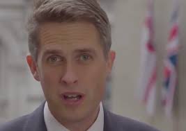 Defence Secretary accused of poppy hypocrisy after Trump comments