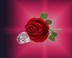 Check spelling or type a new query. Rose Diamond Love Romantic Romance Flowers Roses Floral Red Pikist