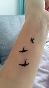 Schwalben Vogel Tattoo Temporare Tatowierung Schwalben Tattoo Tatowierungen