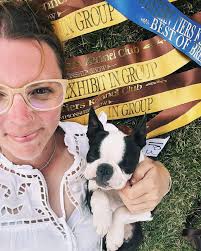 Lateeda Boston Terriers (@lateedabostons) • Instagram photos and videos